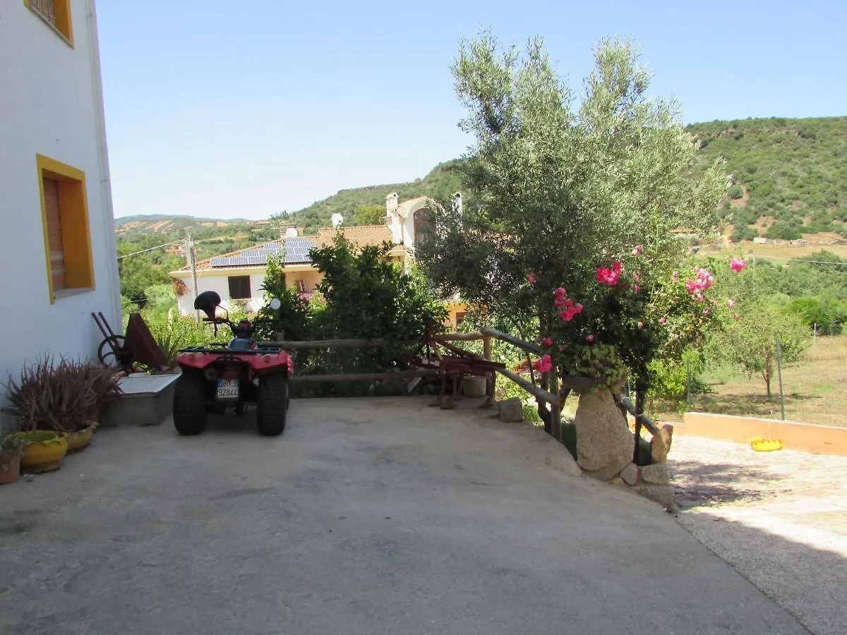 Estate In Ogliastra Sa Figumoru 5 Minuti Al Mare Apartment Bari Sardo